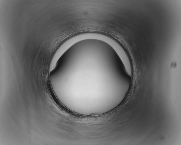 X0000115350017200911241203