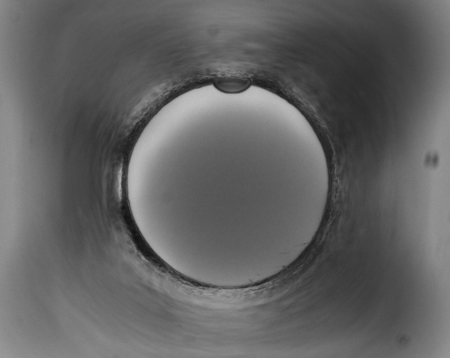 X0000115350019200911241203