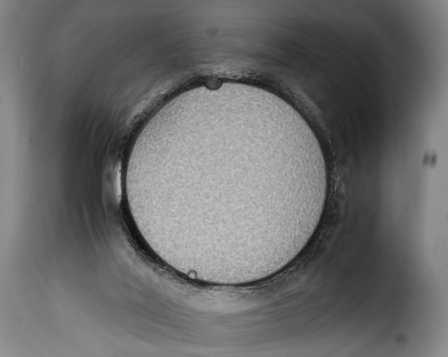 X0000115350020200911241203