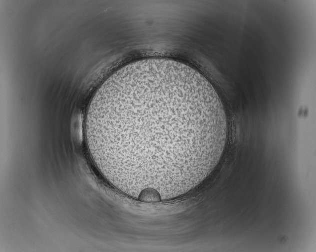 X0000115350022200911241203