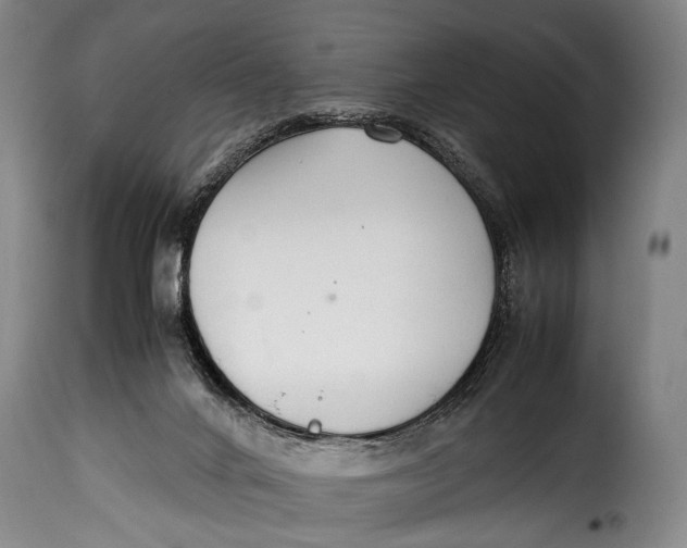 X0000115350024200911241203