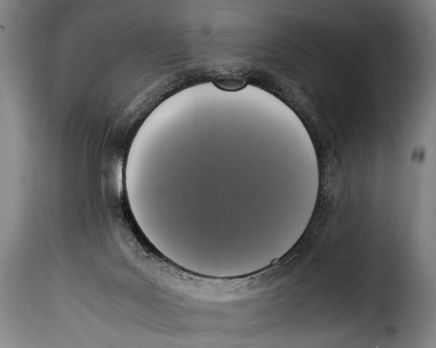 X0000115350027200911241203