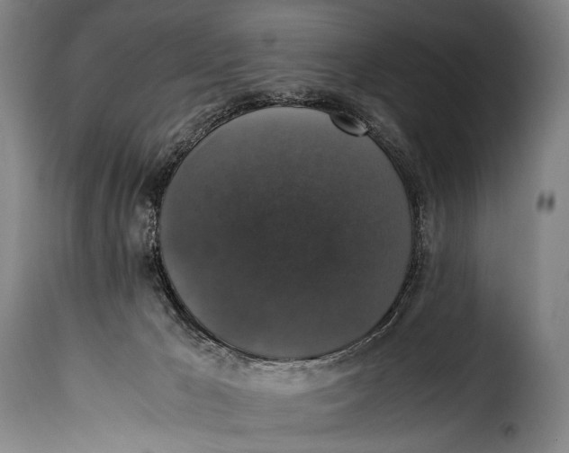 X0000115350029200911241203