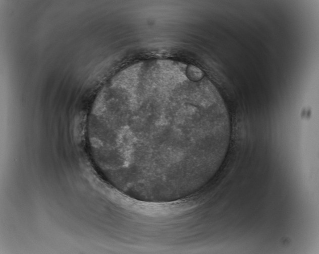 X0000115350030200911241203