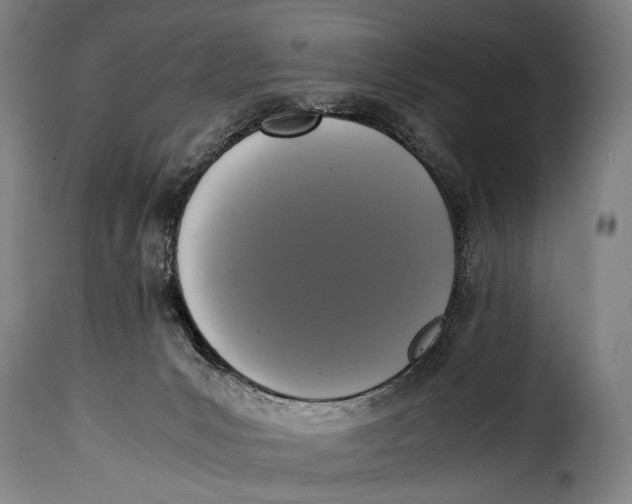 X0000115350031200911241203