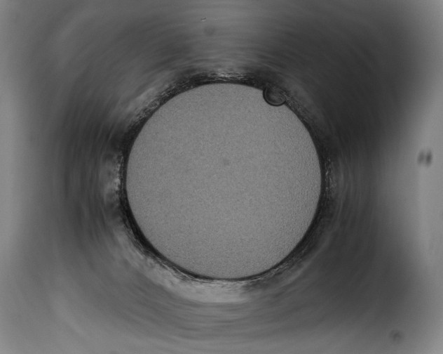 X0000115350032200911241203