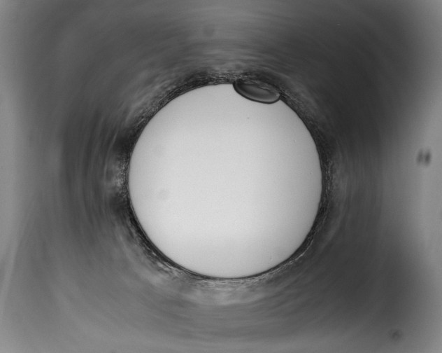 X0000115350033200911241203