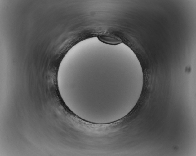 X0000115350035200911241203