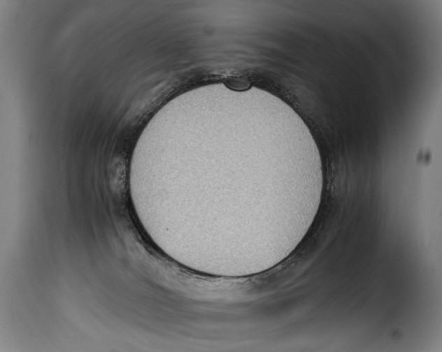 X0000115350036200911241203