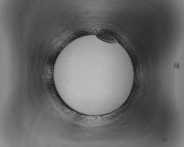 X0000115350037200911241203
