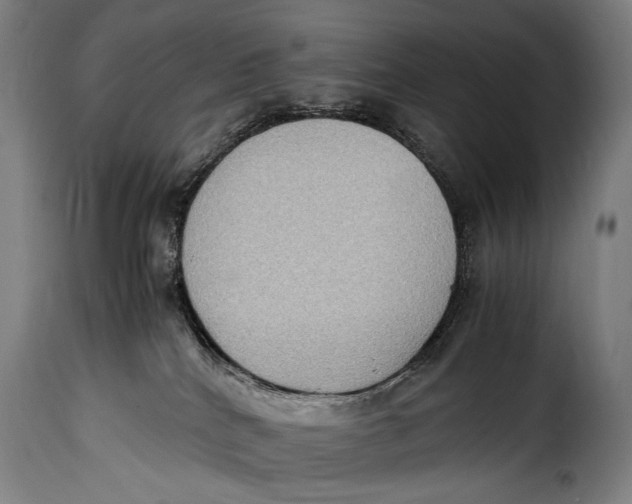 X0000115350040200911241203