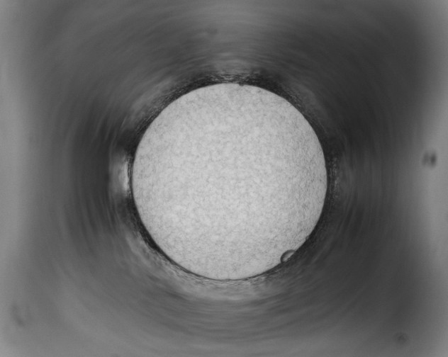 X0000115350042200911241203