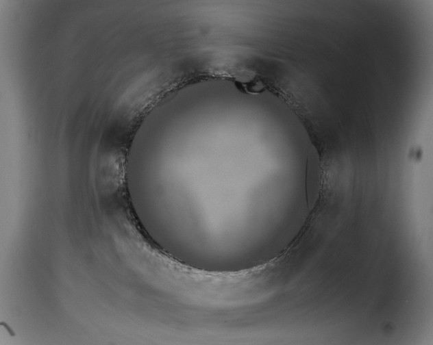 X0000115350043200911241203