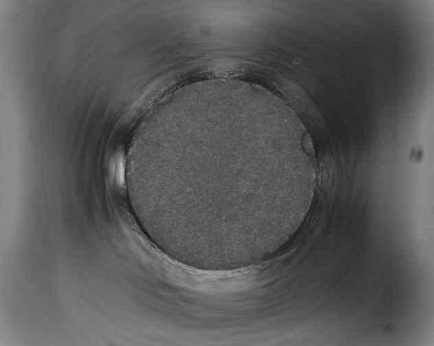 X0000115350046200911241203