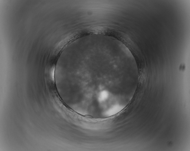 X0000115350047200911241203