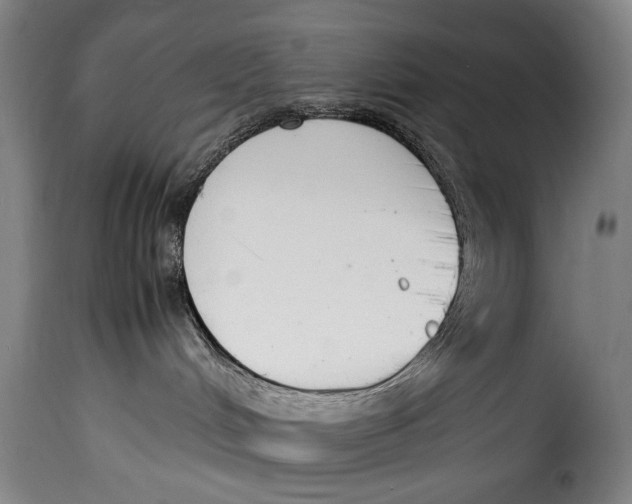 X0000115350048200911241203