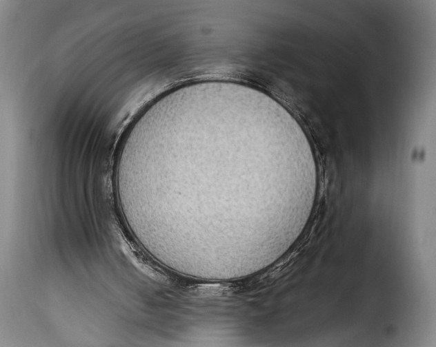 X0000115350050200911241202