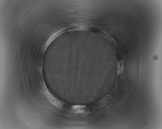 X0000115350051200911241202