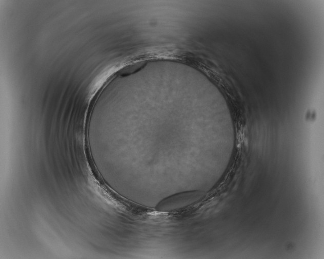 X0000115350052200911241202