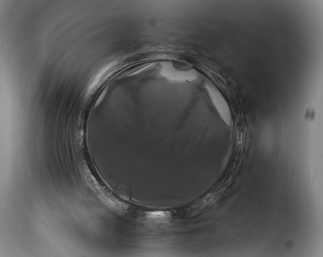 X0000115350053200911241202