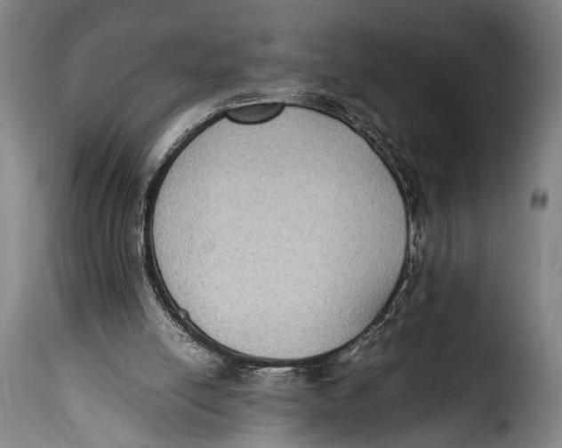 X0000115350054200911241202