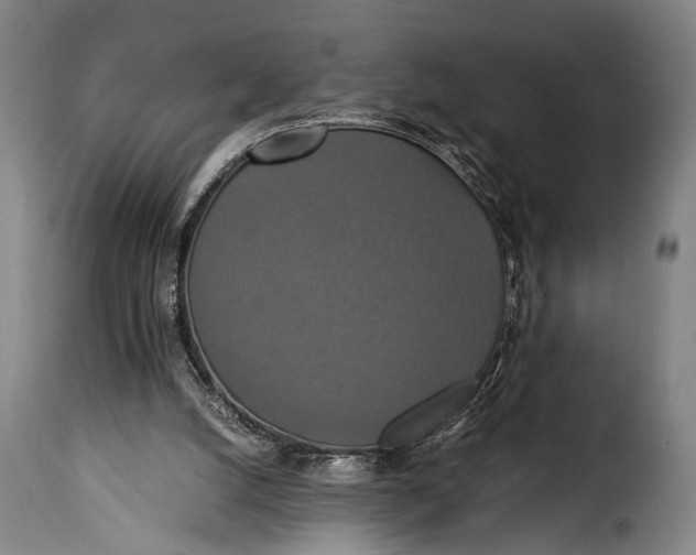 X0000115350056200911241202