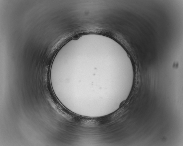 X0000115350058200911241202