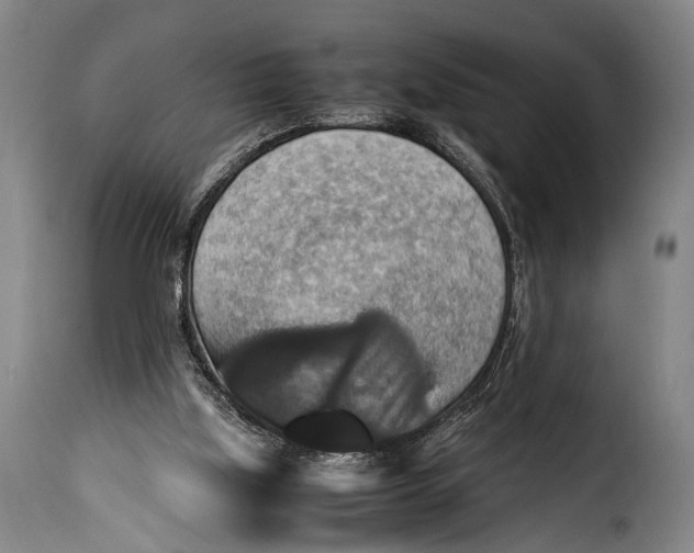 X0000115350059200911241202