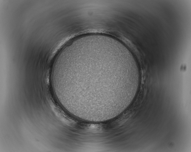 X0000115350060200911241203