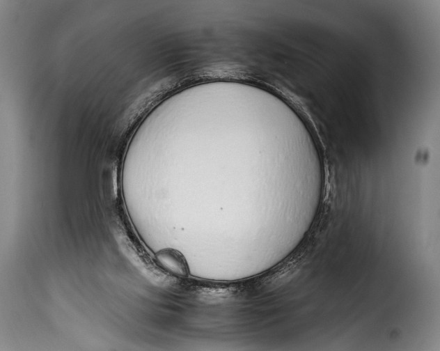 X0000115350061200911241203