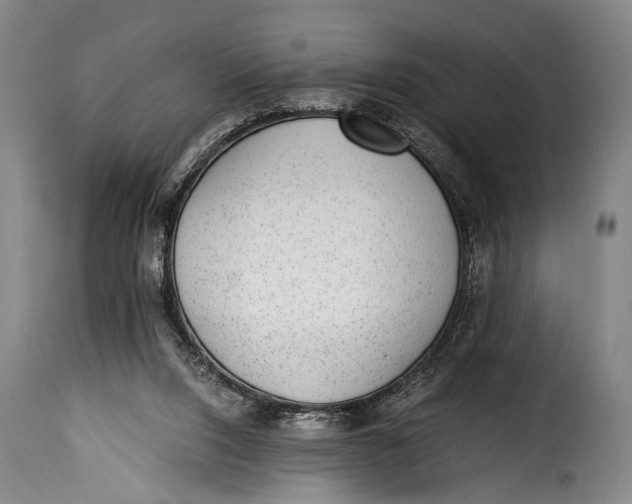 X0000115350064200911241203
