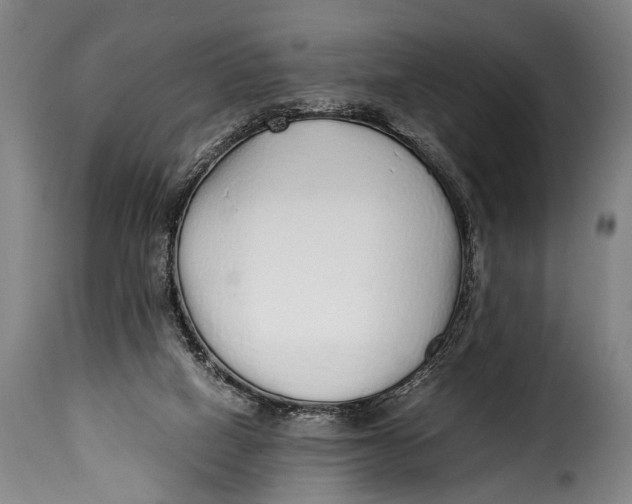 X0000115350066200911241203