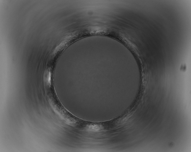 X0000115350067200911241203