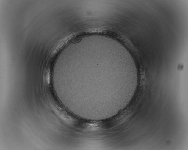 X0000115350068200911241203