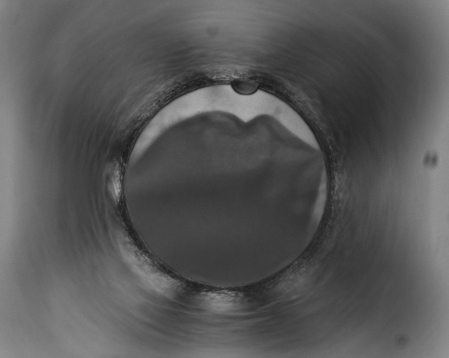 X0000115350069200911241203