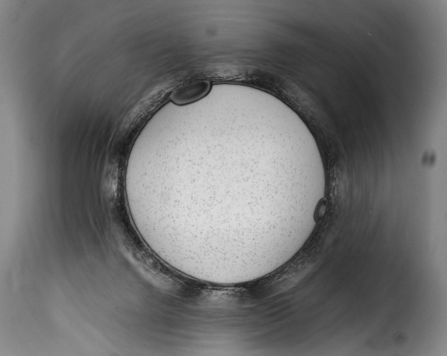 X0000115350072200911241203
