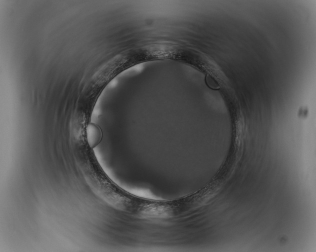 X0000115350073200911241203
