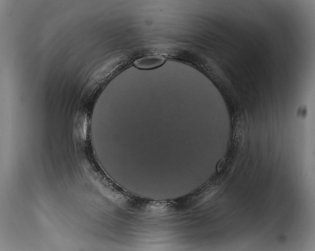 X0000115350076200911241203