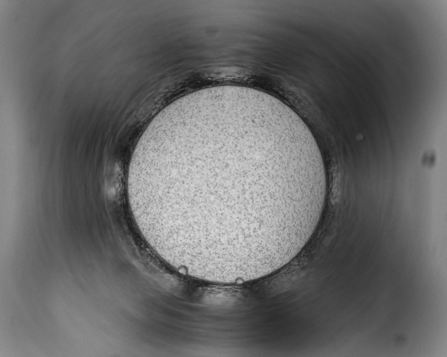 X0000115350077200911241203