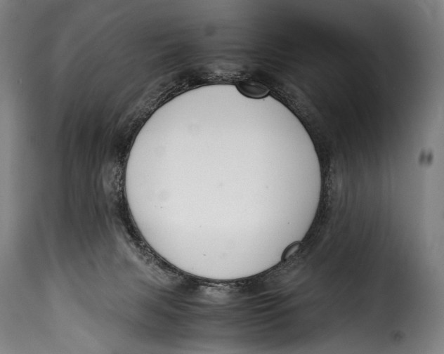 X0000115350079200911241203