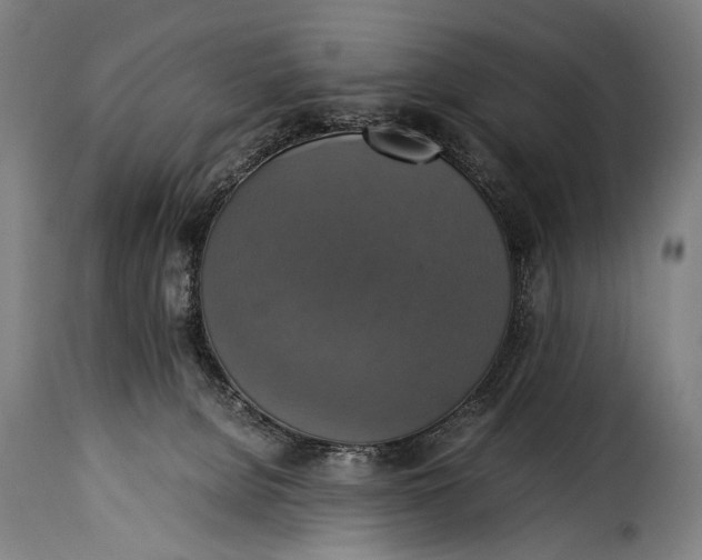 X0000115350080200911241203