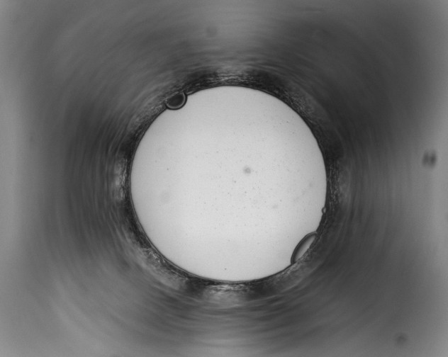 X0000115350082200911241203