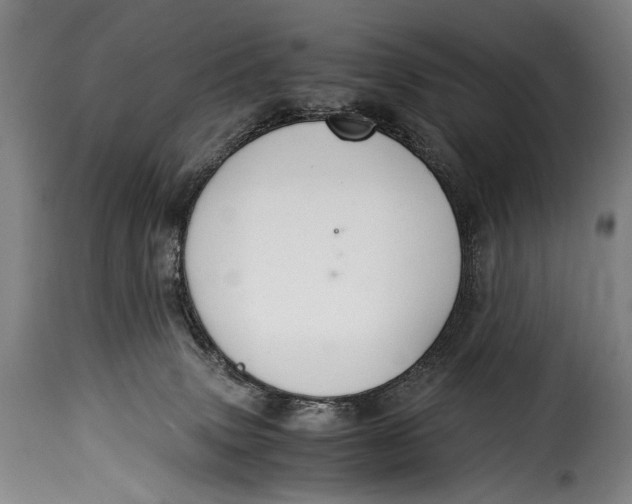 X0000115350083200911241203