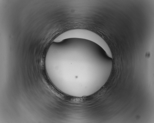 X0000115350084200911241203