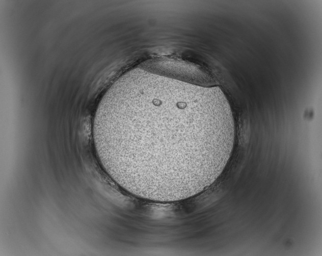 X0000115350085200911241203