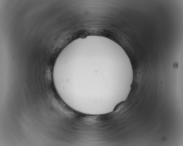 X0000115350086200911241203