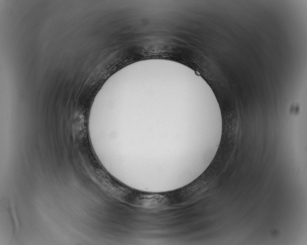 X0000115350087200911241203