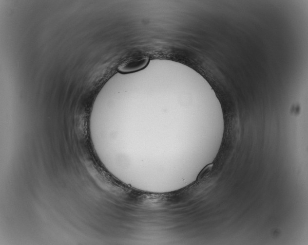 X0000115350088200911241203