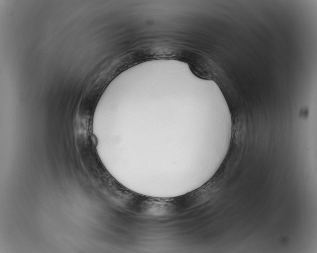 X0000115350093200911241203