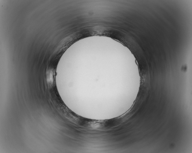 X0000115350094200911241203